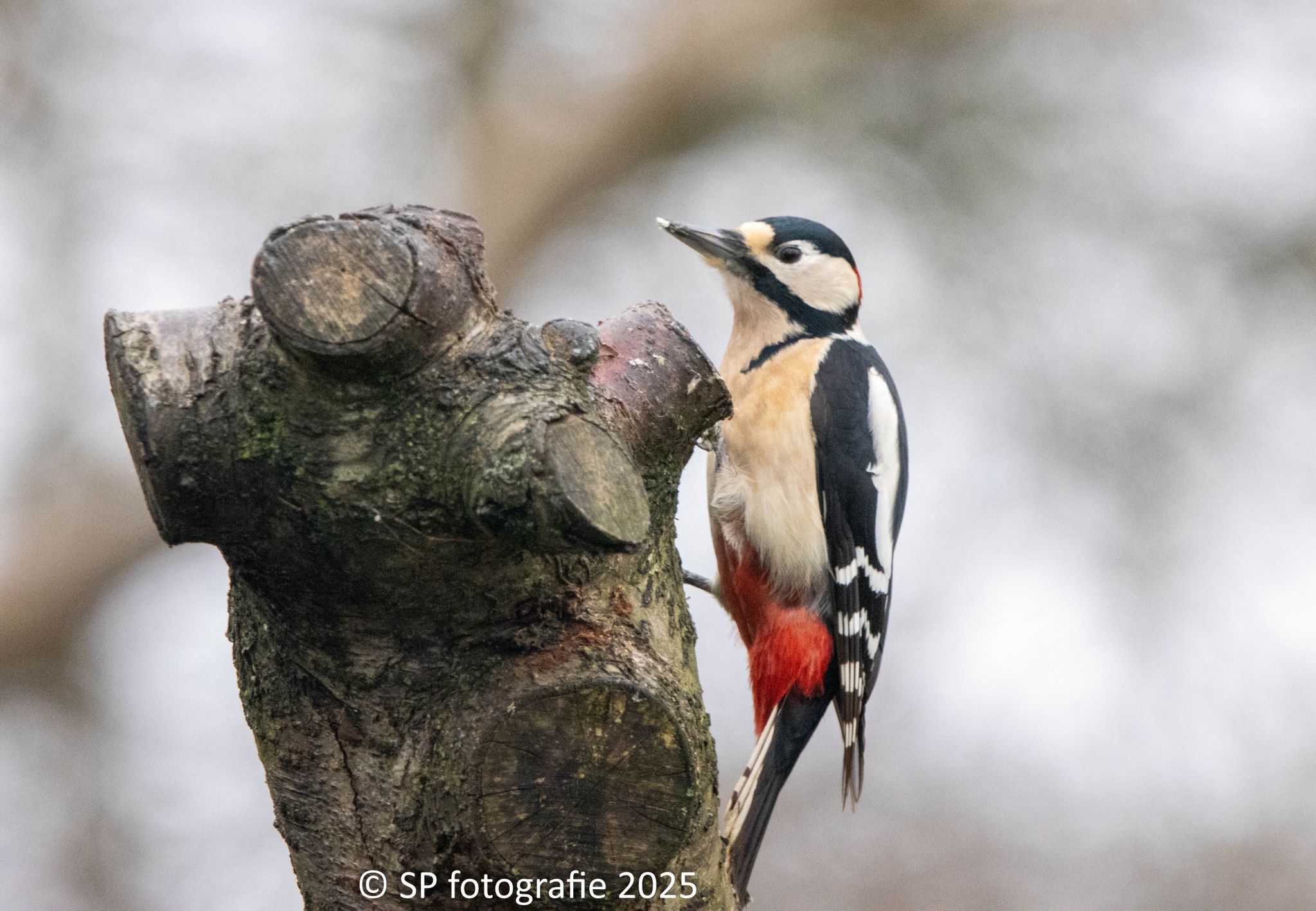 WhatsApp Image 2026-01-07 at 12.16.52